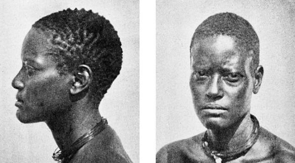 central_african_cephalic_index_70