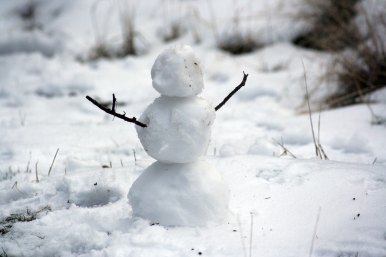 A little snowman with stick arms