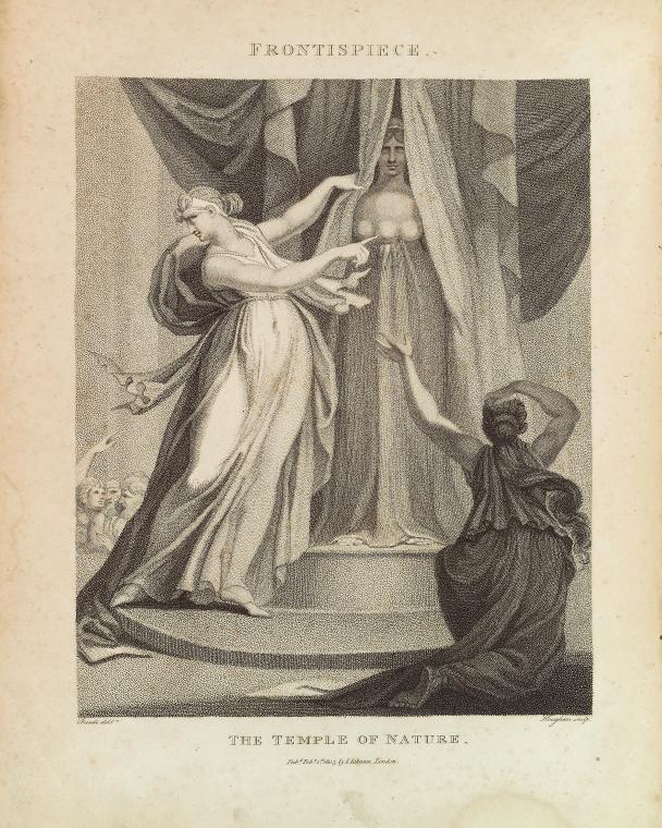 A drawing of a classical figure labeled 