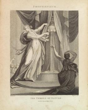 A drawing of a classical figure labeled 